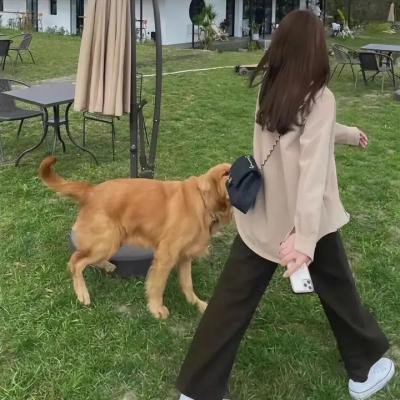 观众们！